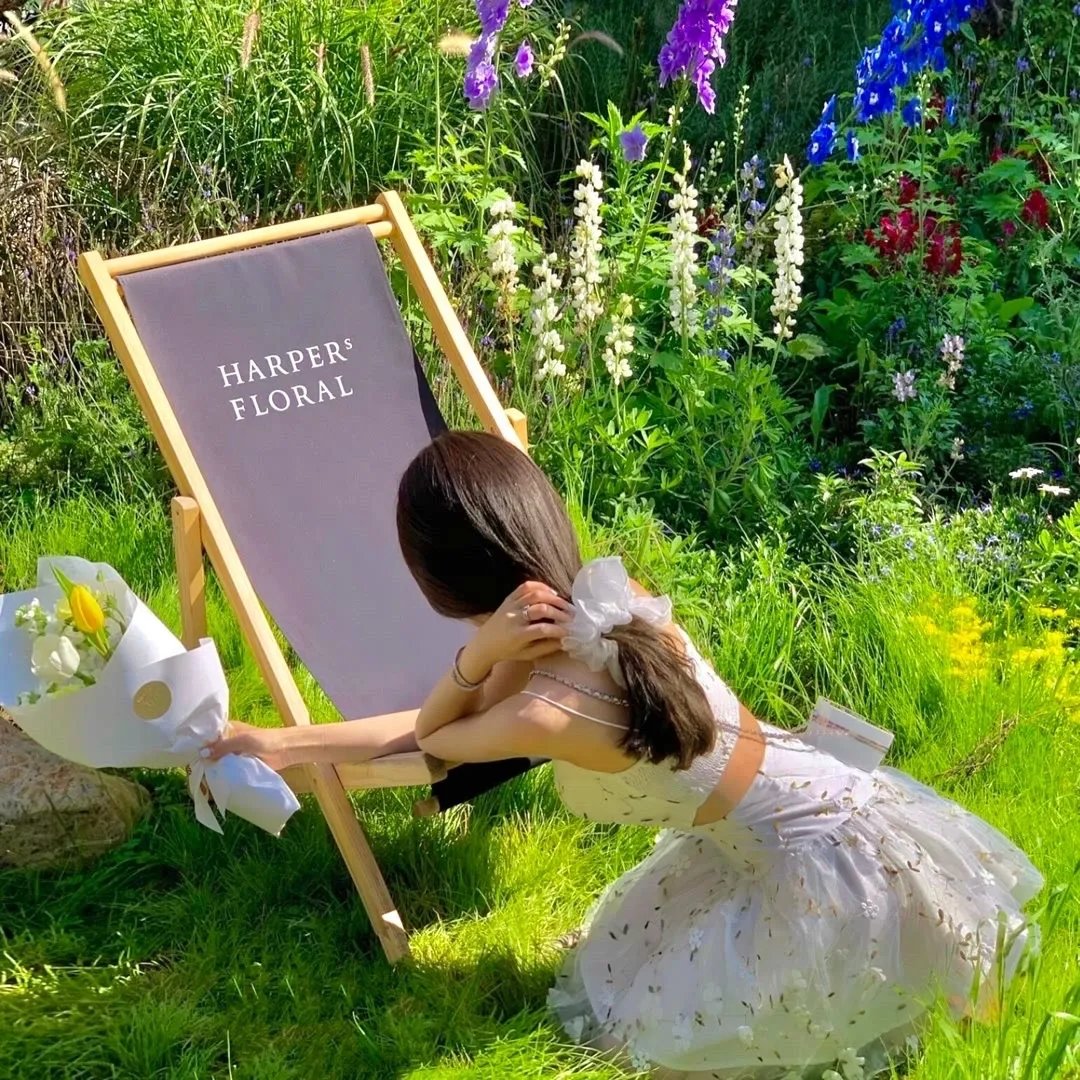 侦探事务所：诈欺猎人